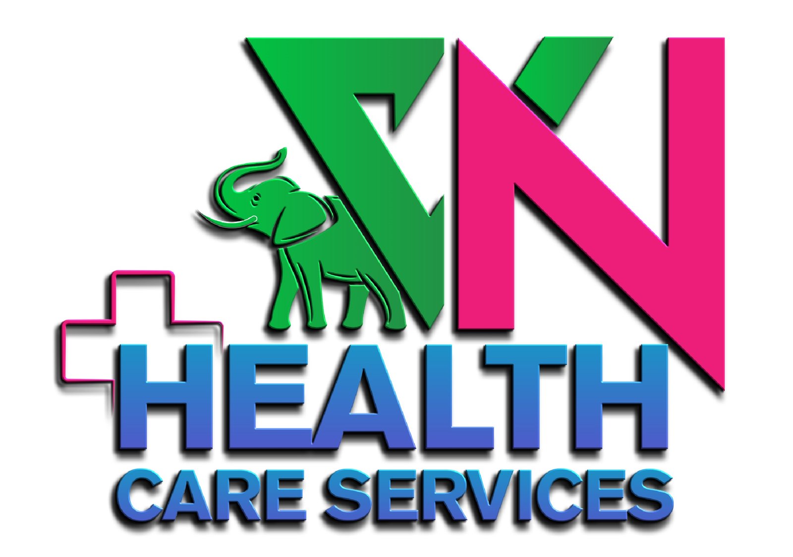 VN Health Care Services